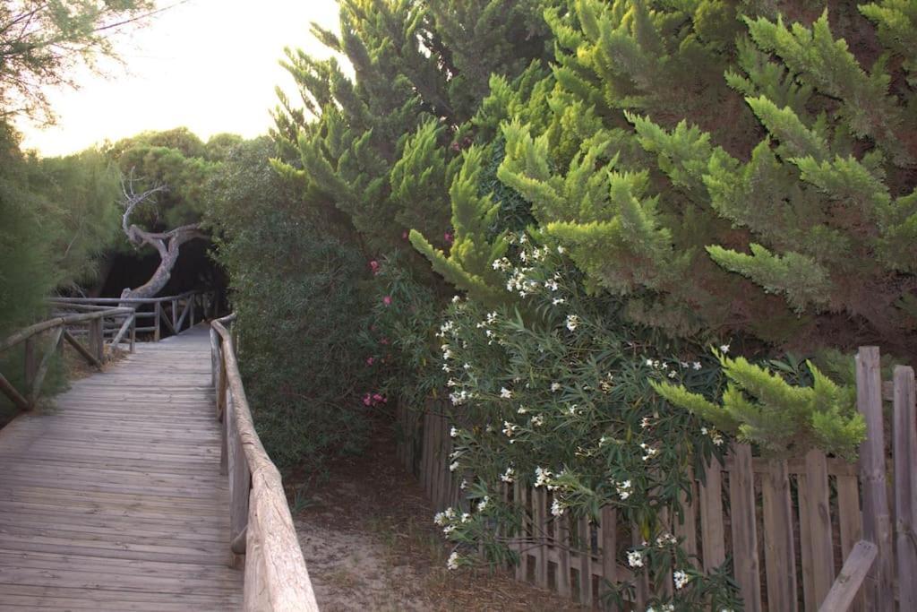 Muy Cerca De La Playa. Primera Linea. Apartman Rota Kültér fotó